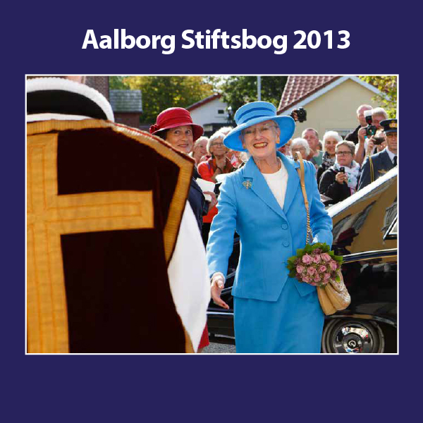 Forside af aalborg stiftsbog 2013