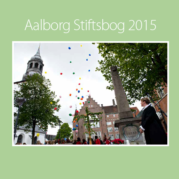 Forside af aalborg stiftsbog 2015