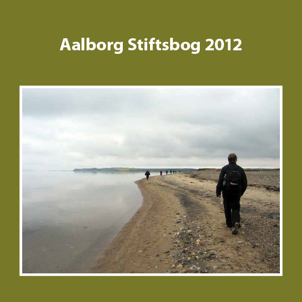 Forside af aalborg stiftsbog 2012